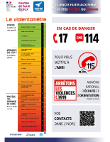 Affiche A3 Violentomètre 2024